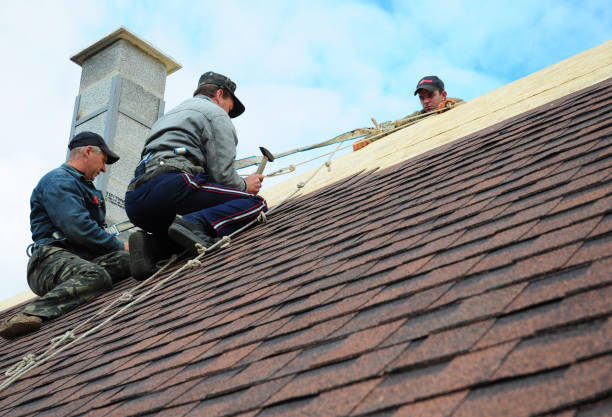 Best Storm Damage Roof Repair  in Penndel, PA